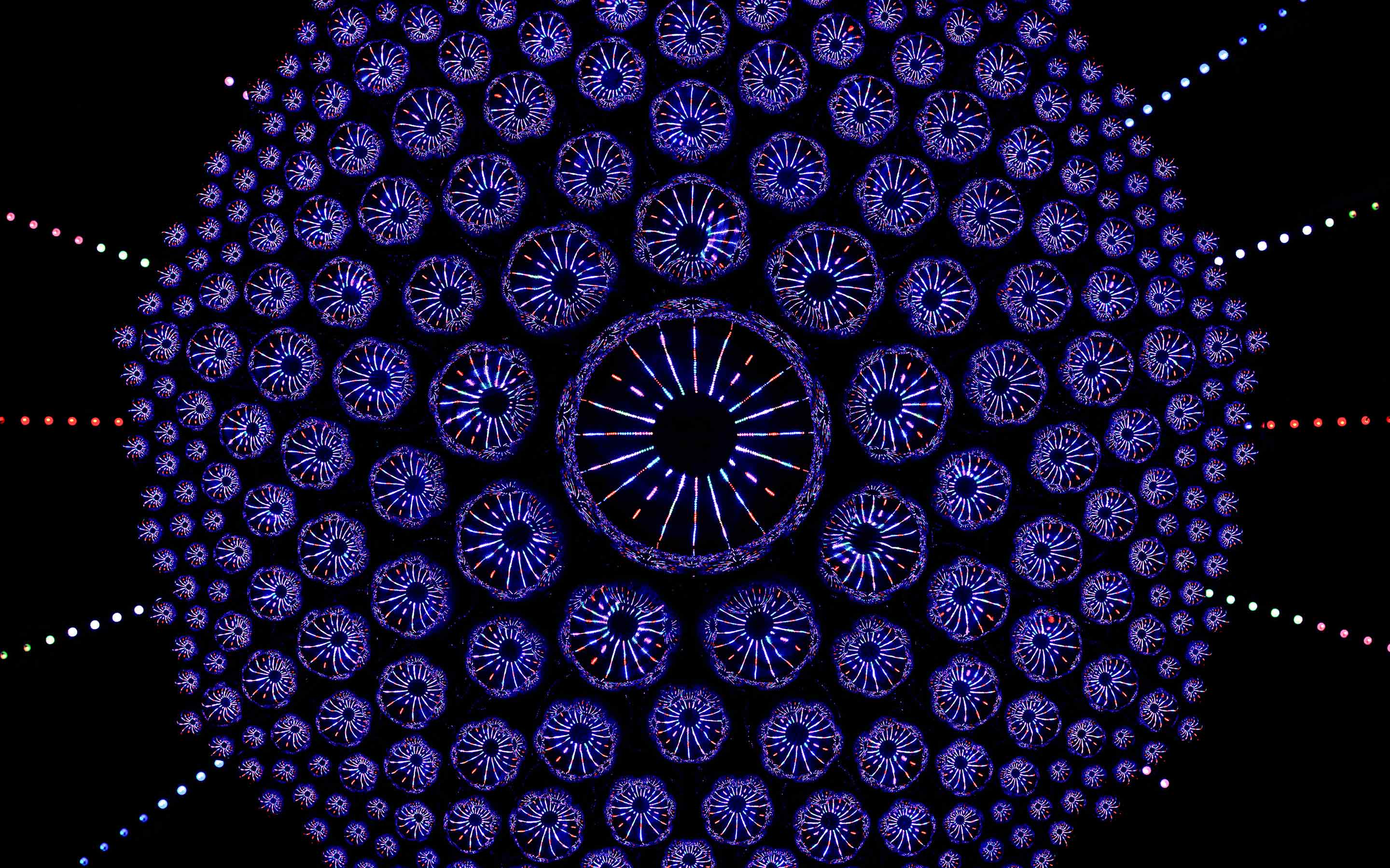 04-musica-haberdashery-w-slideshow