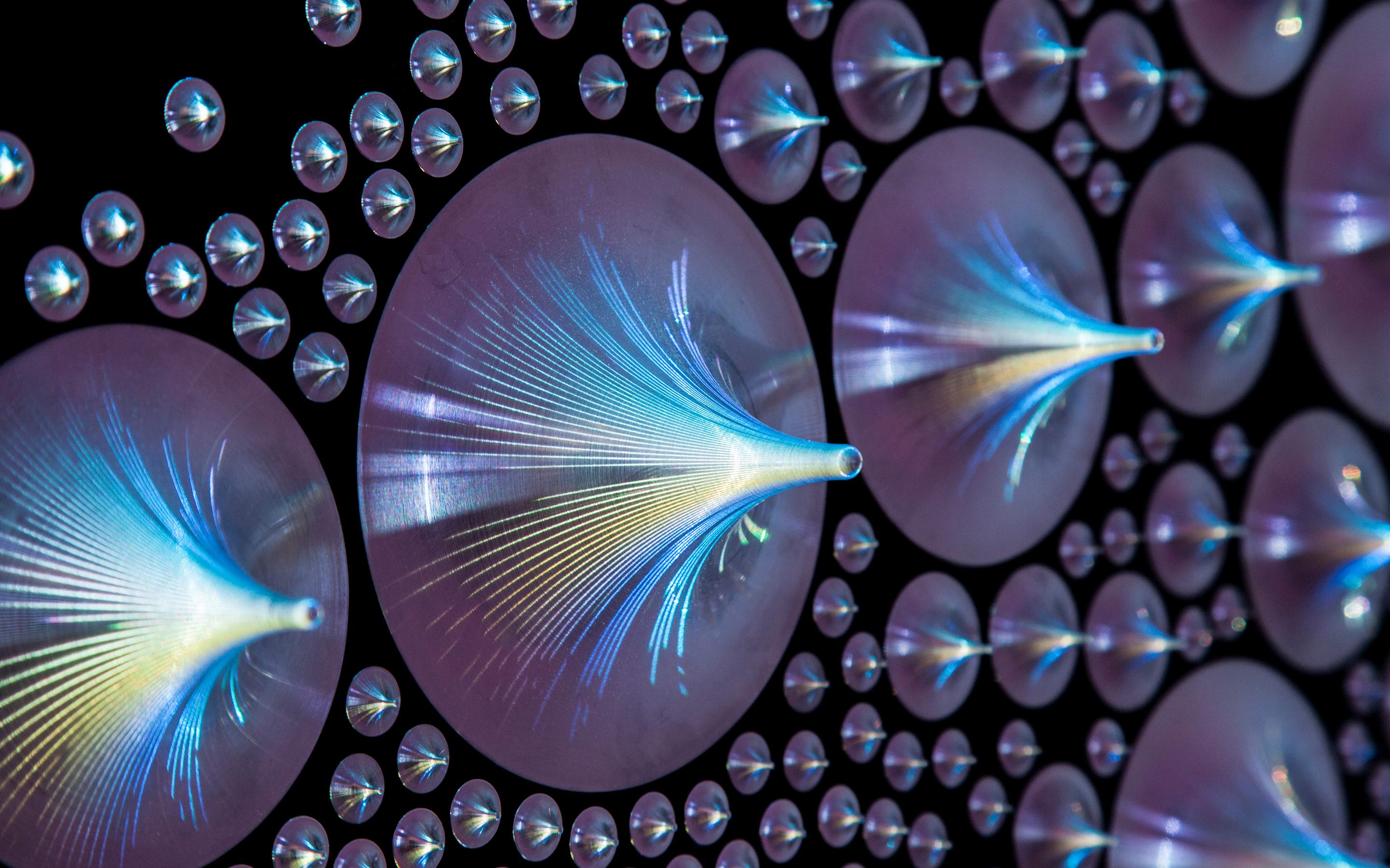 05-holographic-principle-1-haberdashery-w-slideshow