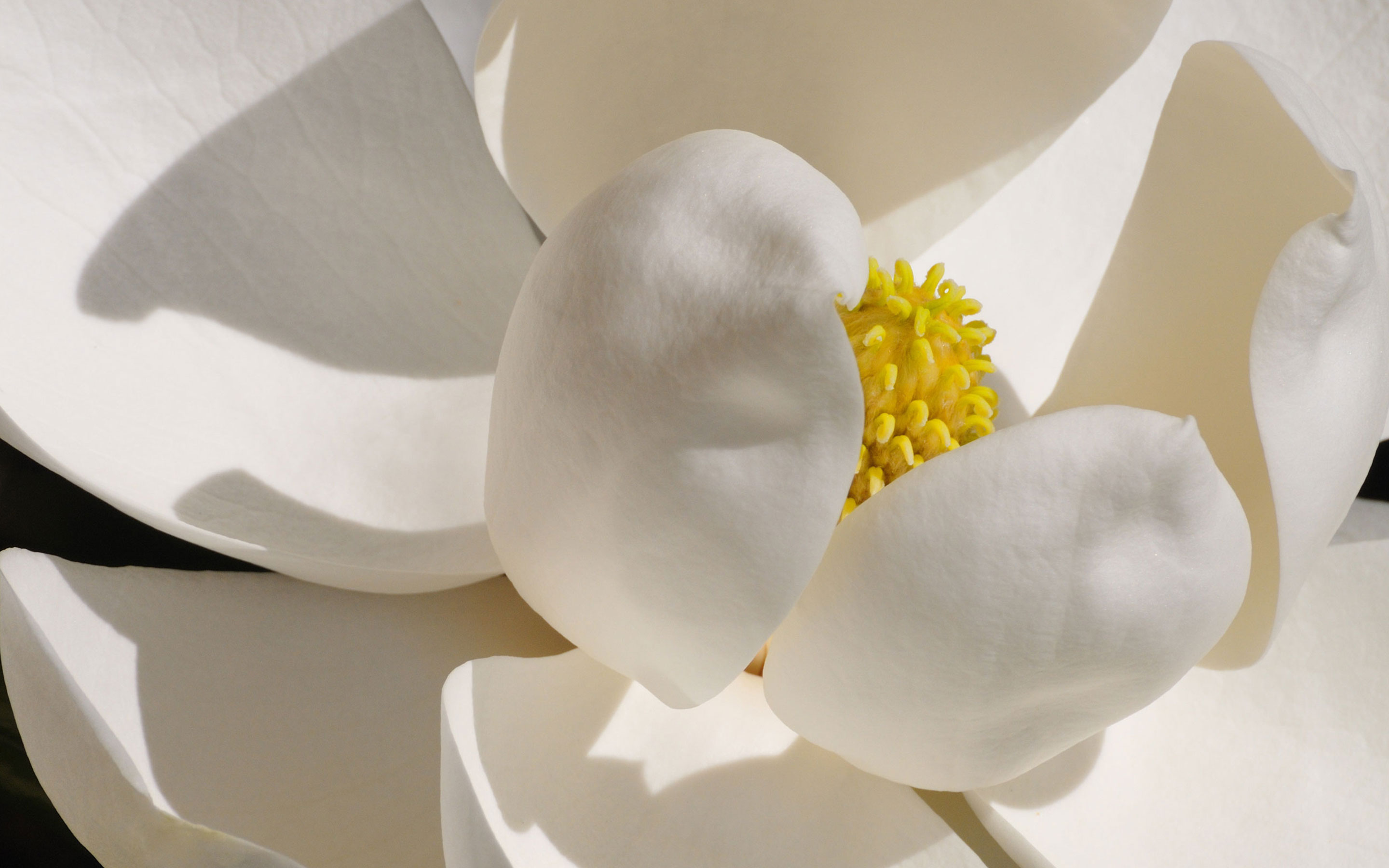 Bloom-inspiration-Haberadshery-slideshow