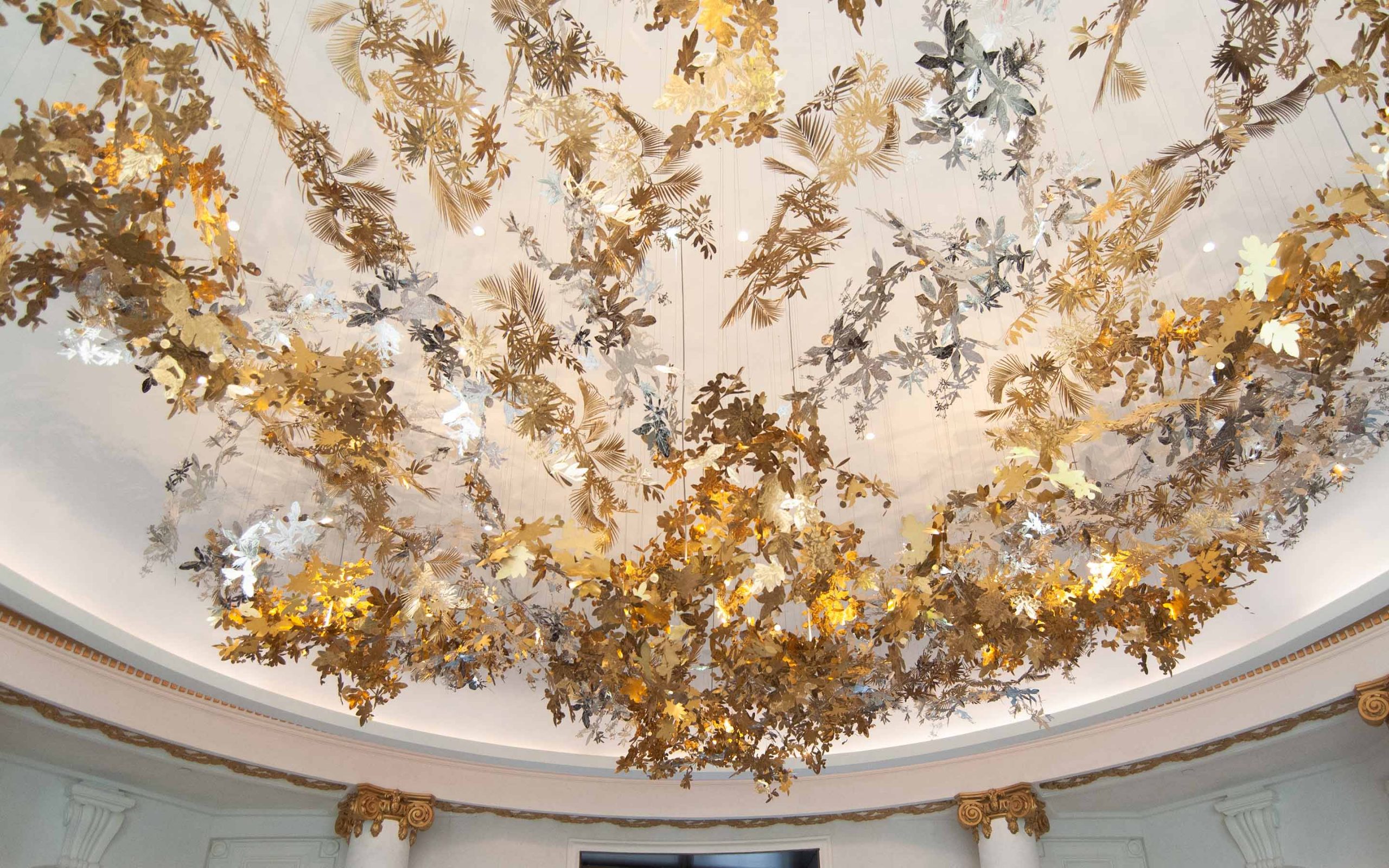 DSC_0095_g2-slideshow-2880x1880