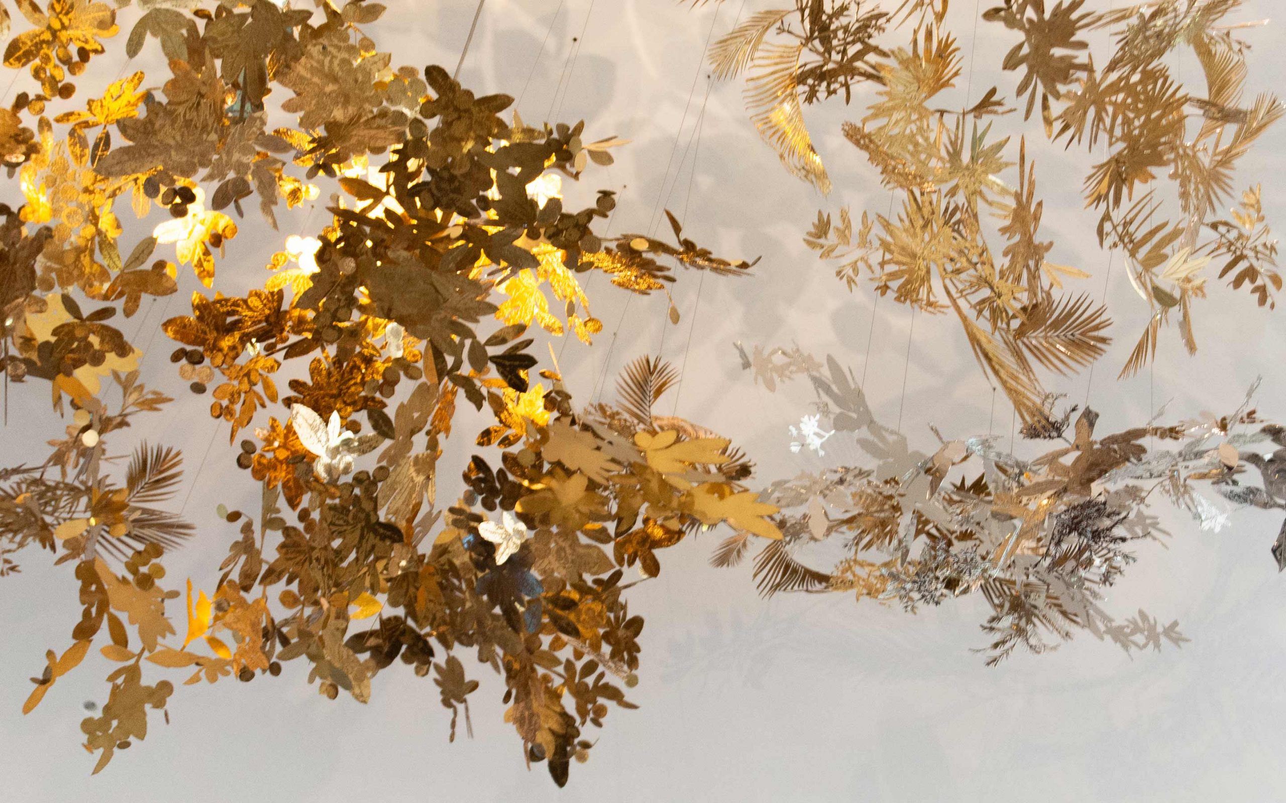 DSC_0097_g2-slideshow-2880x1880