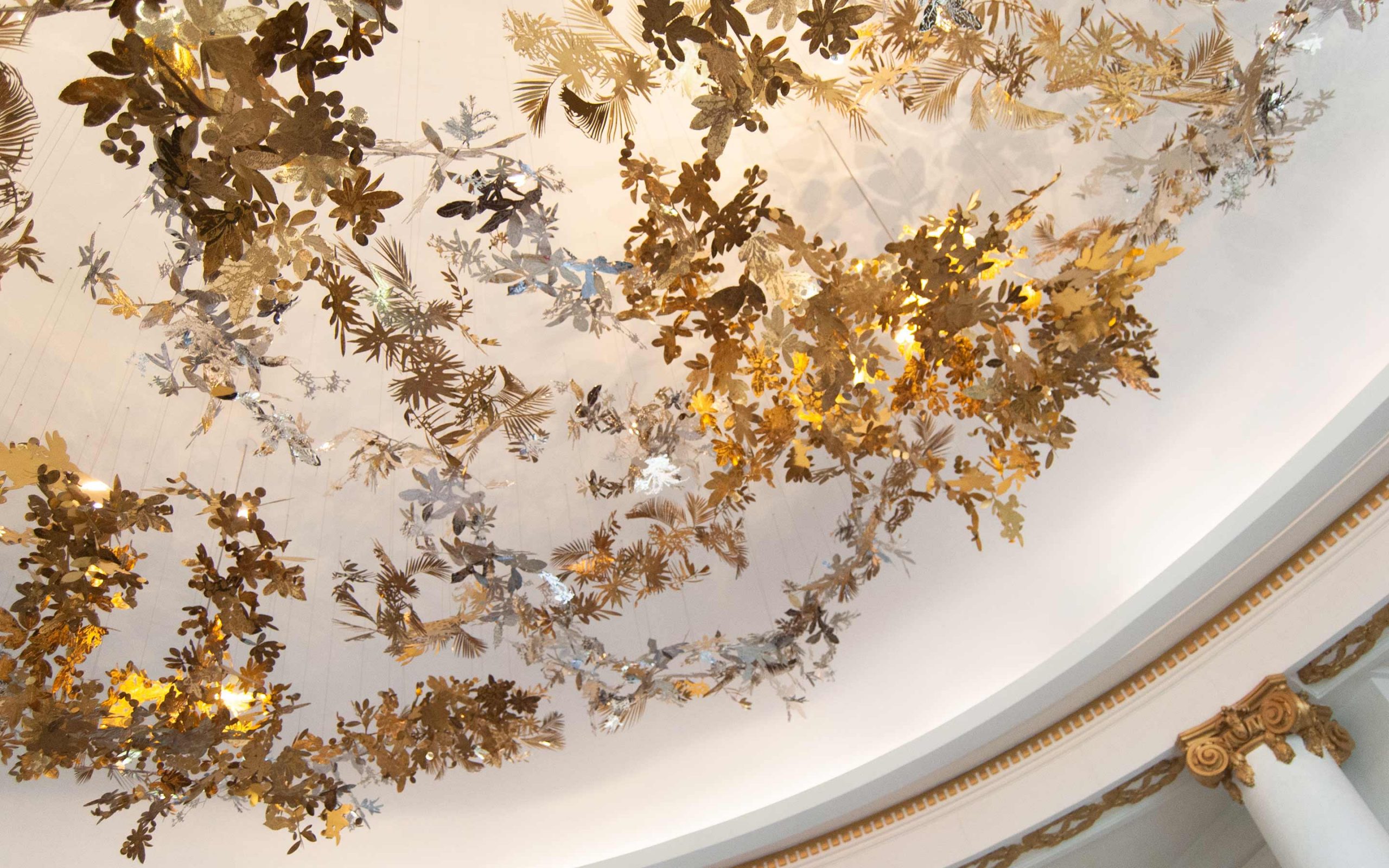 DSC_0112_g2-slideshow-2880x1880