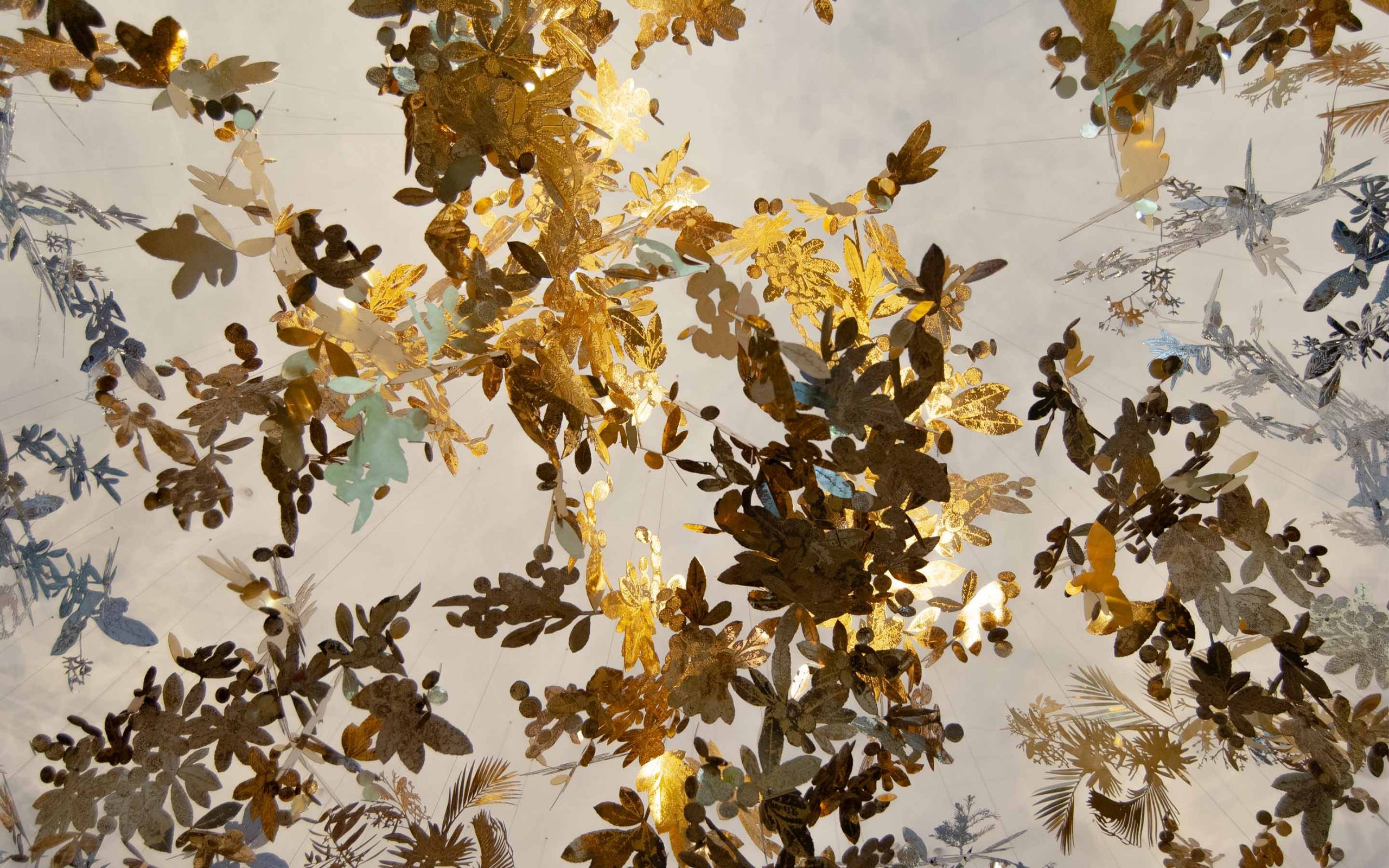 DSC_0130_g2-slideshow-2880x1880