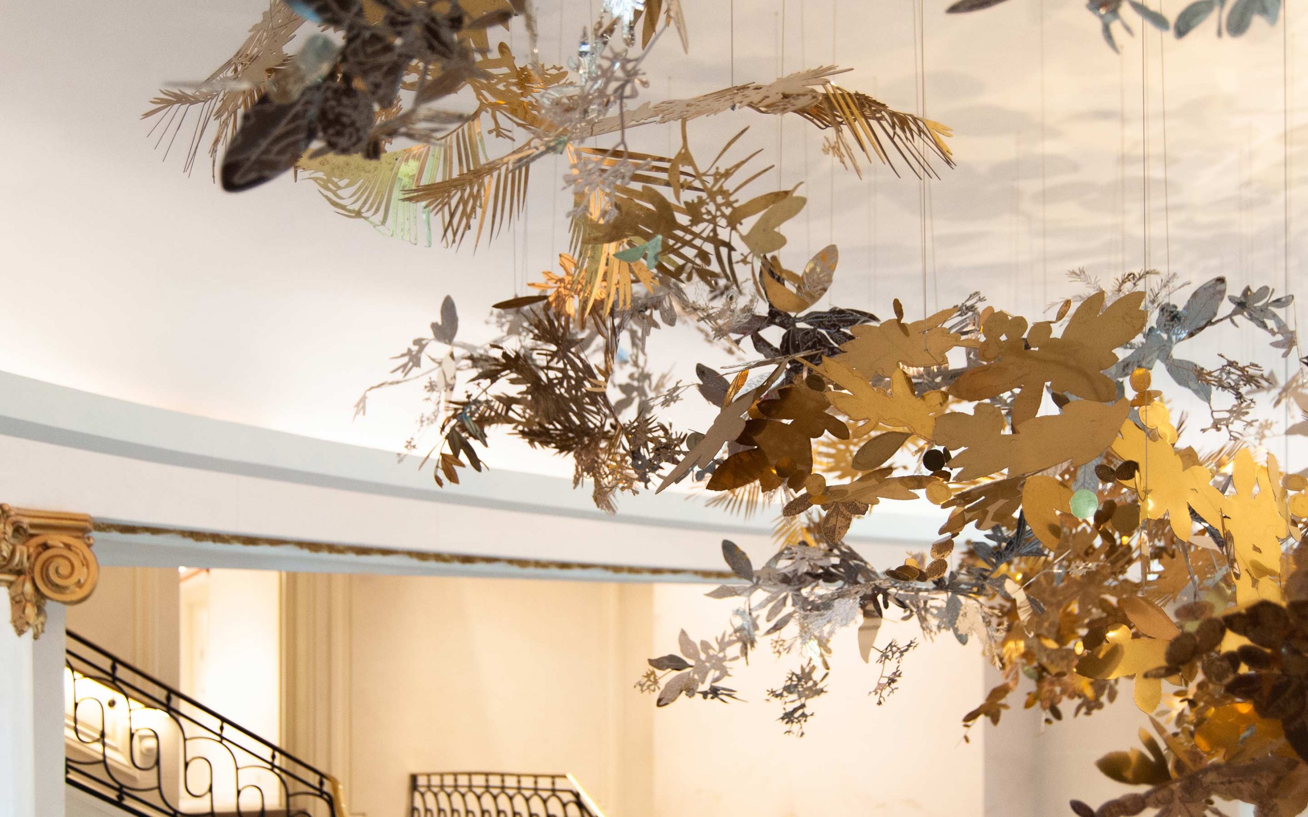 DSC_0144_g2-slideshow-2880x1880