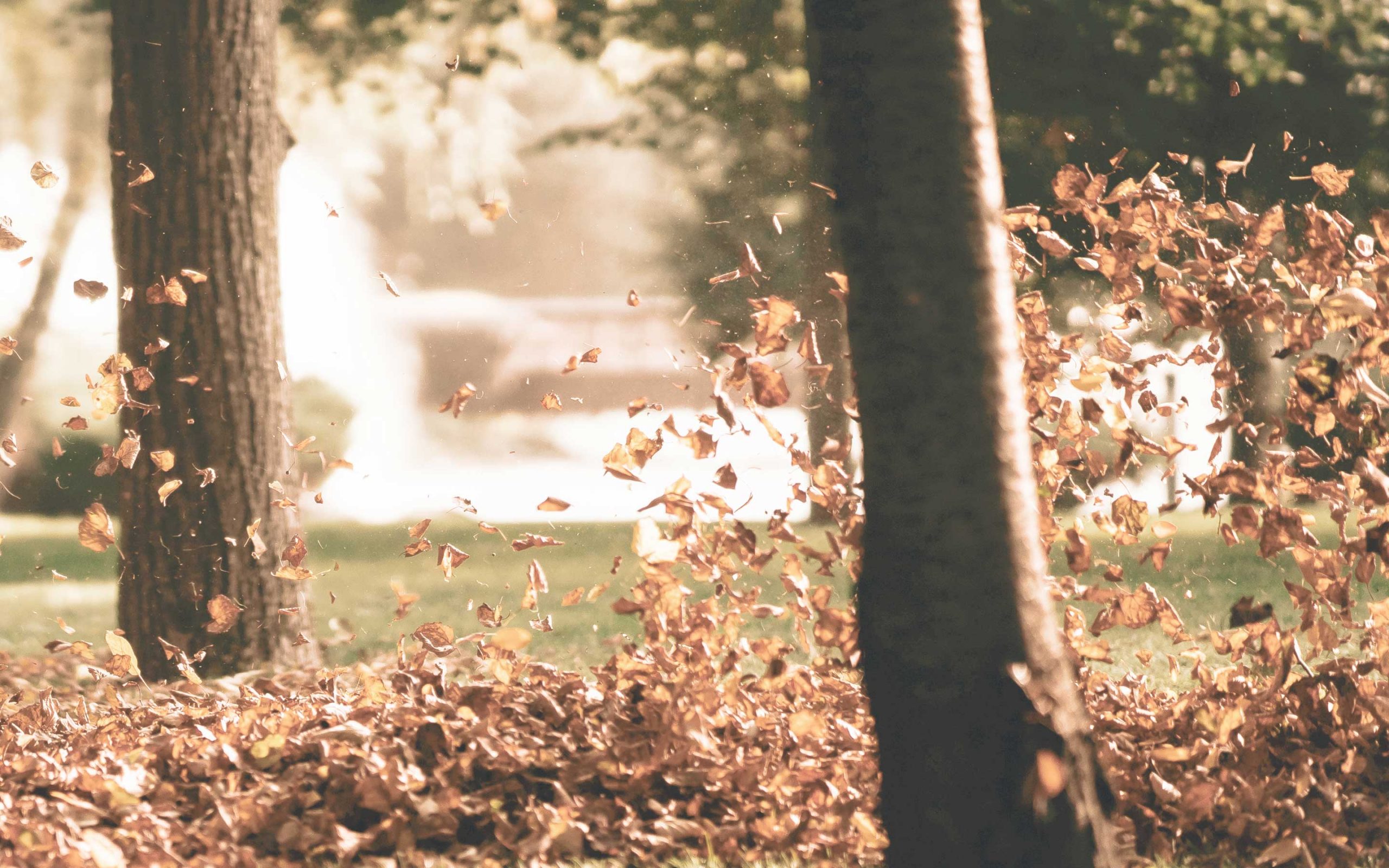 Leaf-wall-sculpture-Haberdashery-inspiration-slideshow