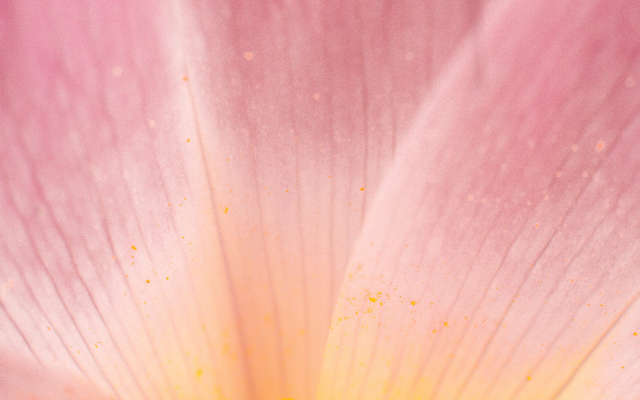 Summer-Meadow-Haberdashery-Inspiration-1292236015-l