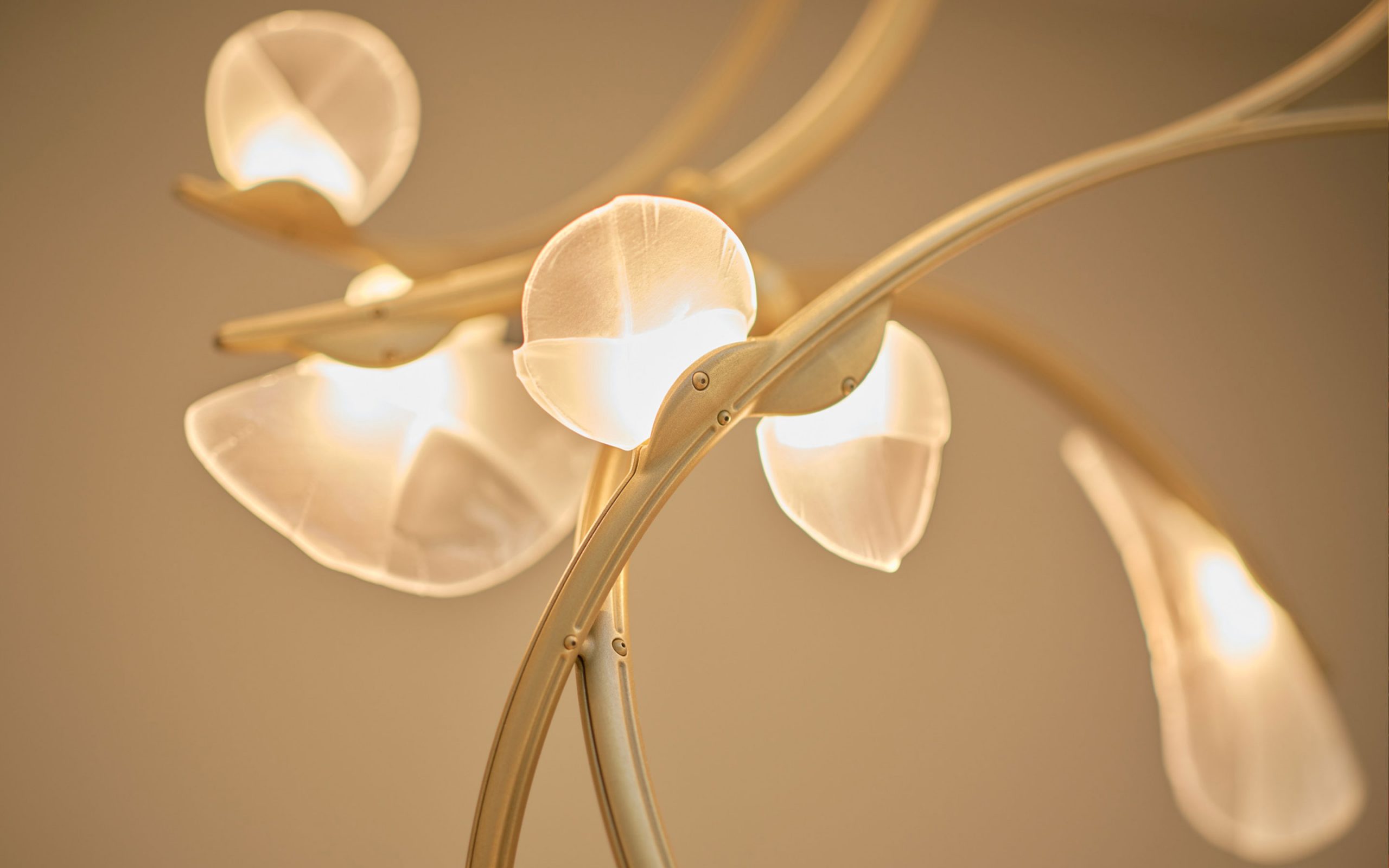 slideshow-3-2880x1880